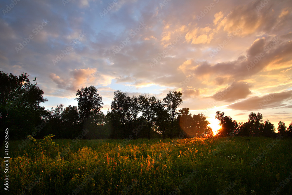 Obraz premium sunset over the meadows