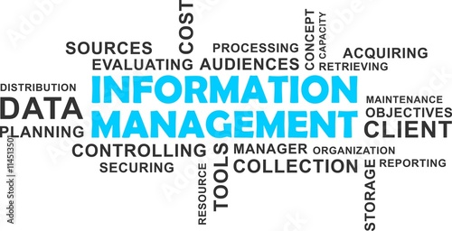 word cloud - information management