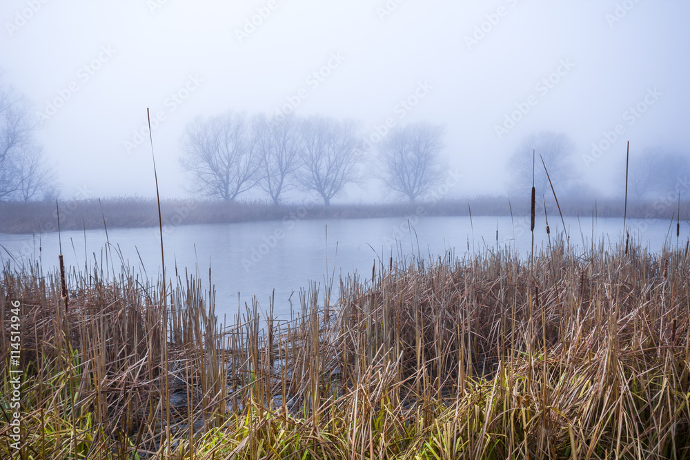 autumn morning at a forest lake with fog and beautiful warm colors
autumn morning at a forest lake with fog and beautiful warm colors
