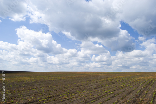 Agricultural landscape in Podolia region of Ukraine