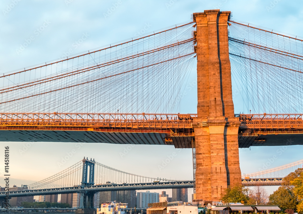 Obraz premium Downtown Manhattan, beautiful New York City skyline