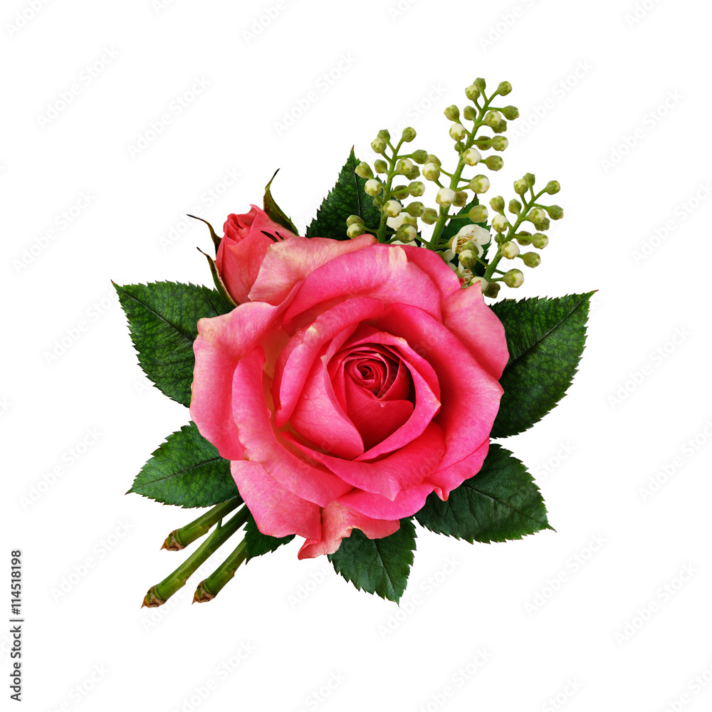 Fototapeta premium Pink rose flower arangement