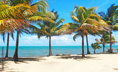 Fototapeta Naklejka Na Ścianę i Meble -  That beach in Dangriga, Belize
