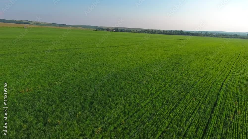 Flying fast over green field at sunset, 4k
Flying fast over green field at sunset, 4k