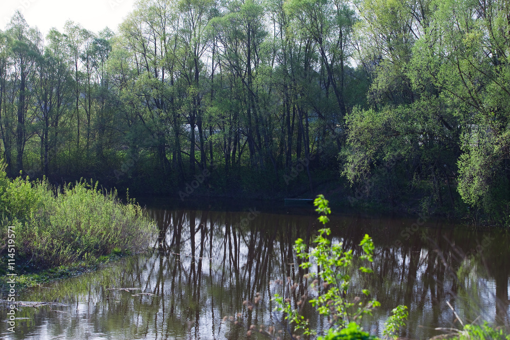 Fototapeta premium Spring on the River