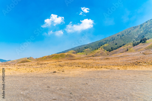 Savanna valley of Tengger caldera near Bromo volcano at Java isl