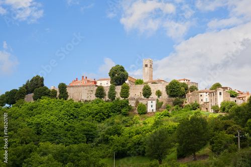 Wallpaper Mural town of Motovun is famous with truffles growing on the hillsides. Istria, Croatia. Torontodigital.ca