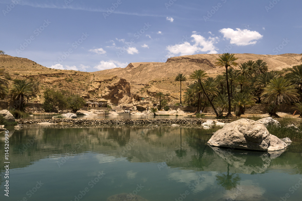 oasis in the Oman heart 