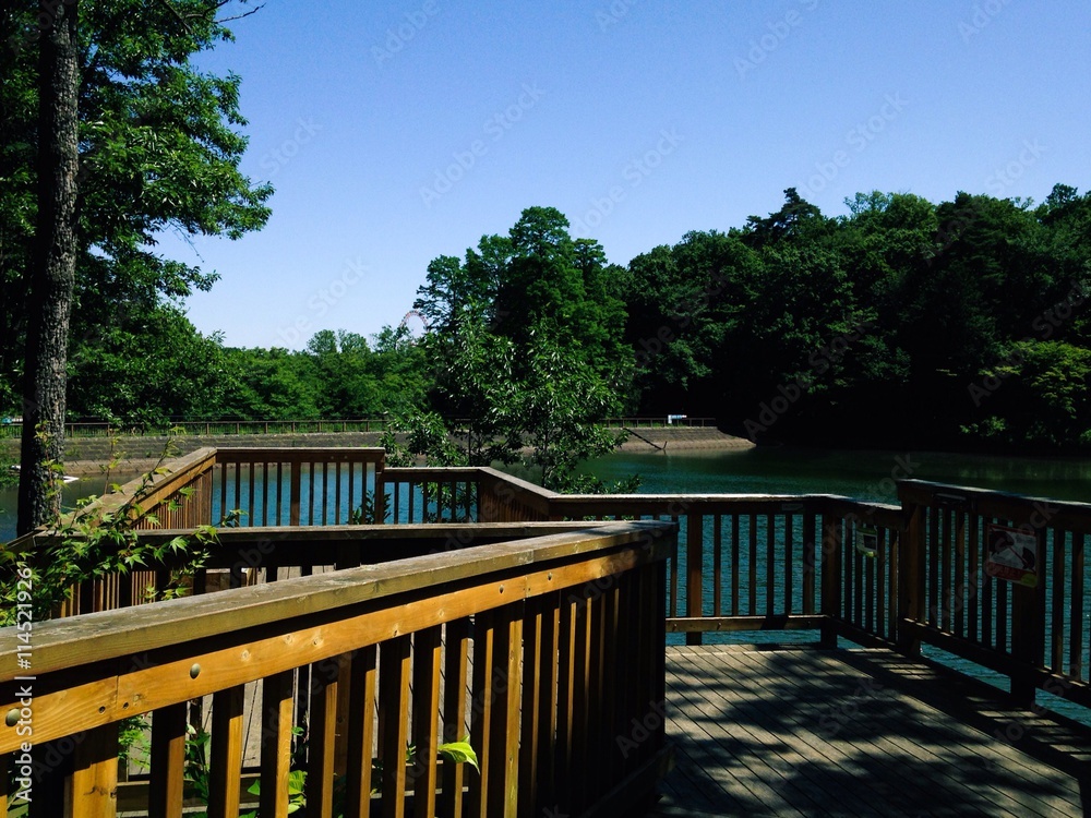 park pond park pond