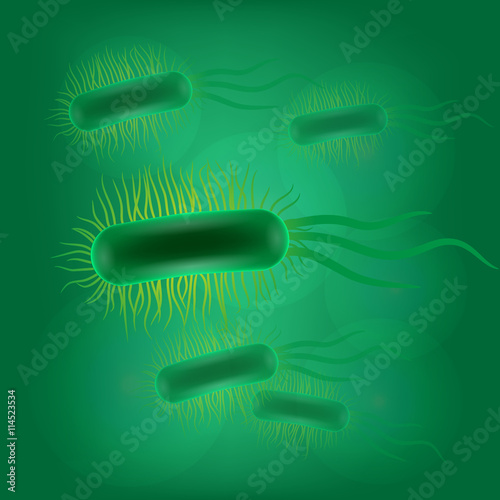 Escherichia coli virus