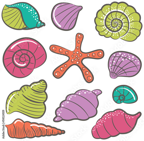 Seashell vector set