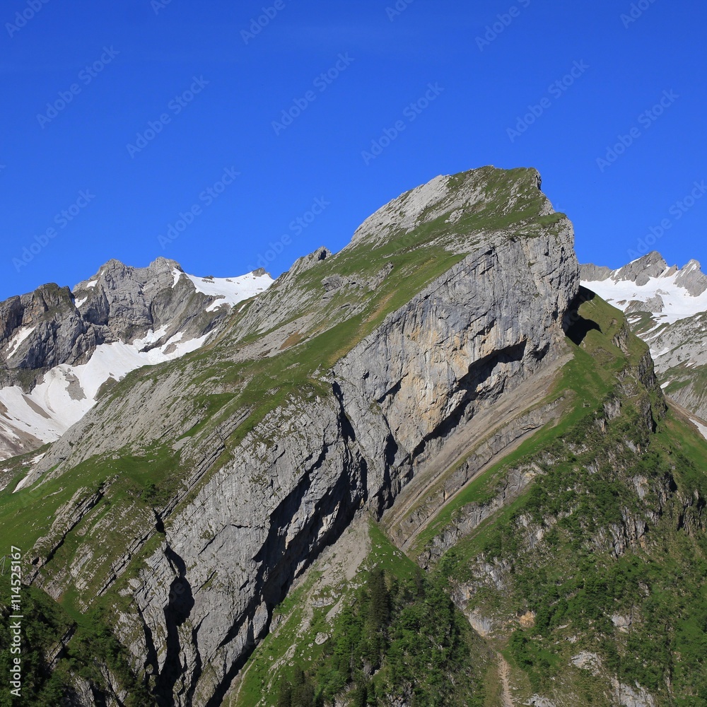 Alpine fold in the Alpstein Range

Alpine fold in the Alpstein Range

Alpine fold in the Alpstein Range


Visible layers of rock. Part of the Alpstein Range


