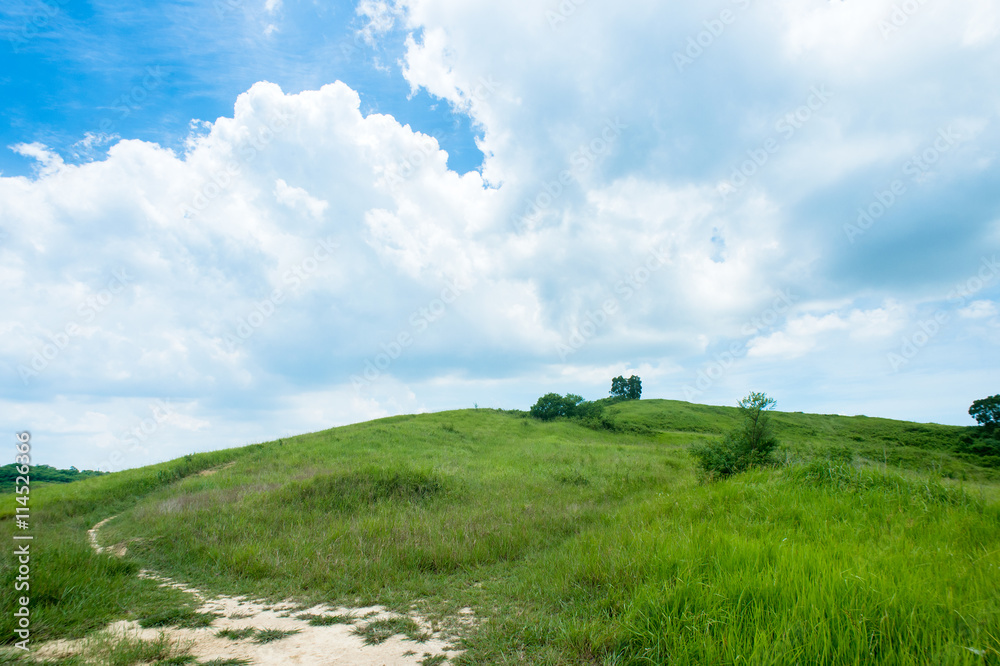 Obraz premium grassland with blue sky and white clouds