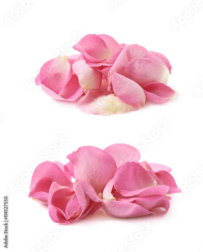 Pile of multiple rose petals