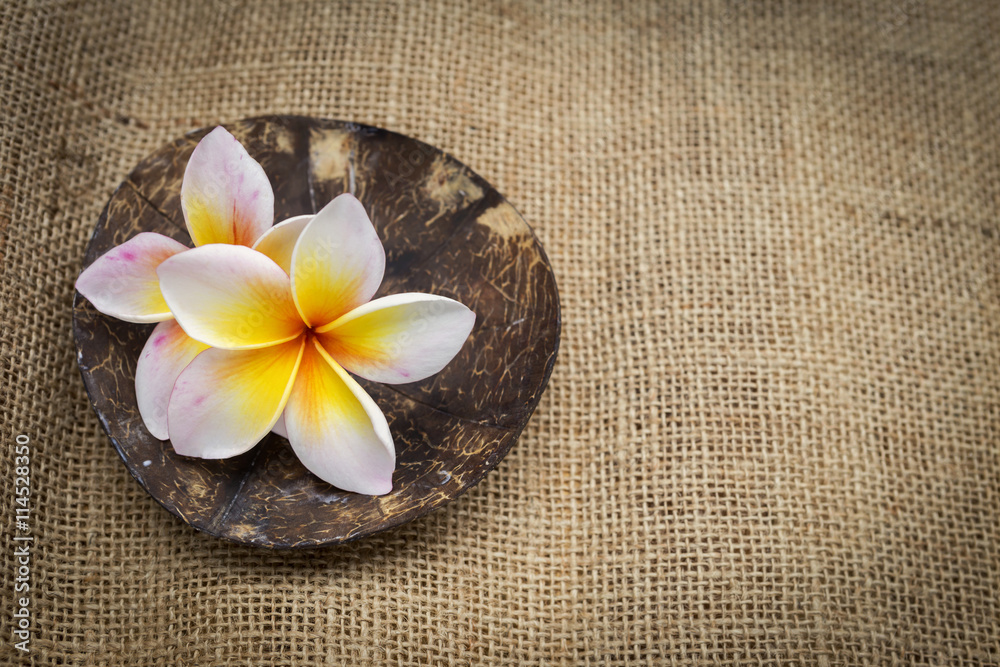 Plumeria flower on coconut shell with space on hessian texture background, spa concept idea Plumeria flower on coconut shell with space on hessian texture background, spa concept idea