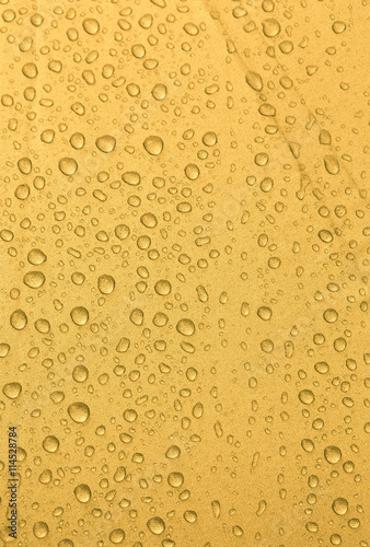 Rain water drop on gold background