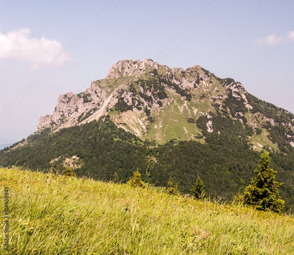 mountain meadow and Velky Rozsutec hill in Mala Fatra mountains