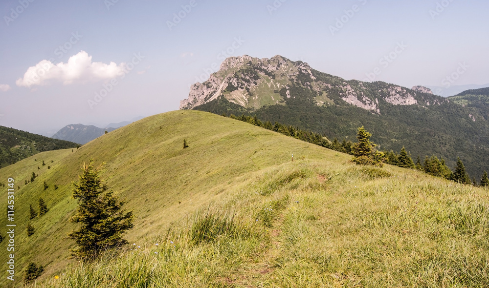 rocky Velky Rozsutec hill from Osnica hill with mountain meadow and isolated tree in Mala Fatra mountains in Slovakia