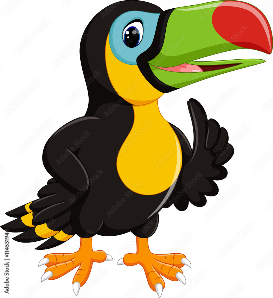 illustration of cute toucan cartoon illustration of cute toucan cartoon