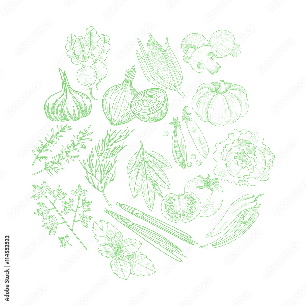 Set Of Vegetables Hand Drawn Artistic Sketch