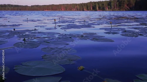 Video of lake at sunrise withforest in the background and in the reflection. photo