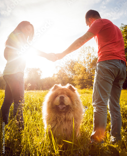 Photography Young couple with the dogs in the park.