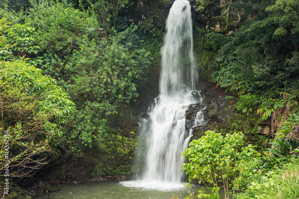 Fototapeta premium Close up of a waterfall in the Kohala area. This area is known for its many hidden waterfalls. The draught of the waterfall causes some motion blur in the foliage.