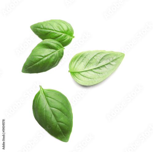 Basil leaves  isolated on white