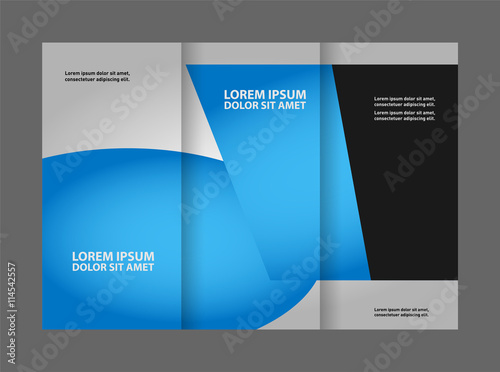 brochure design template vector tri-fold
