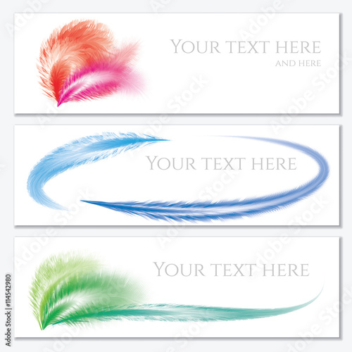 Set of banners with feathers. Vector