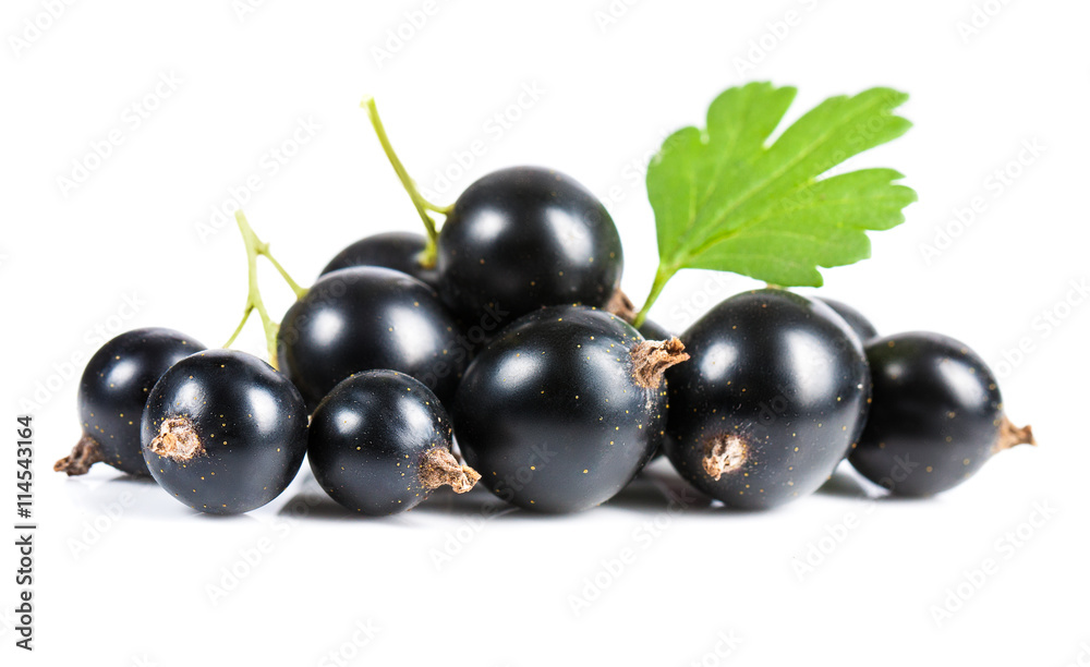 Black currant closeup. Ripe juicy sweet berries with green leaf on a white background. Black currant closeup. Ripe juicy sweet berries with green leaf on a white background.