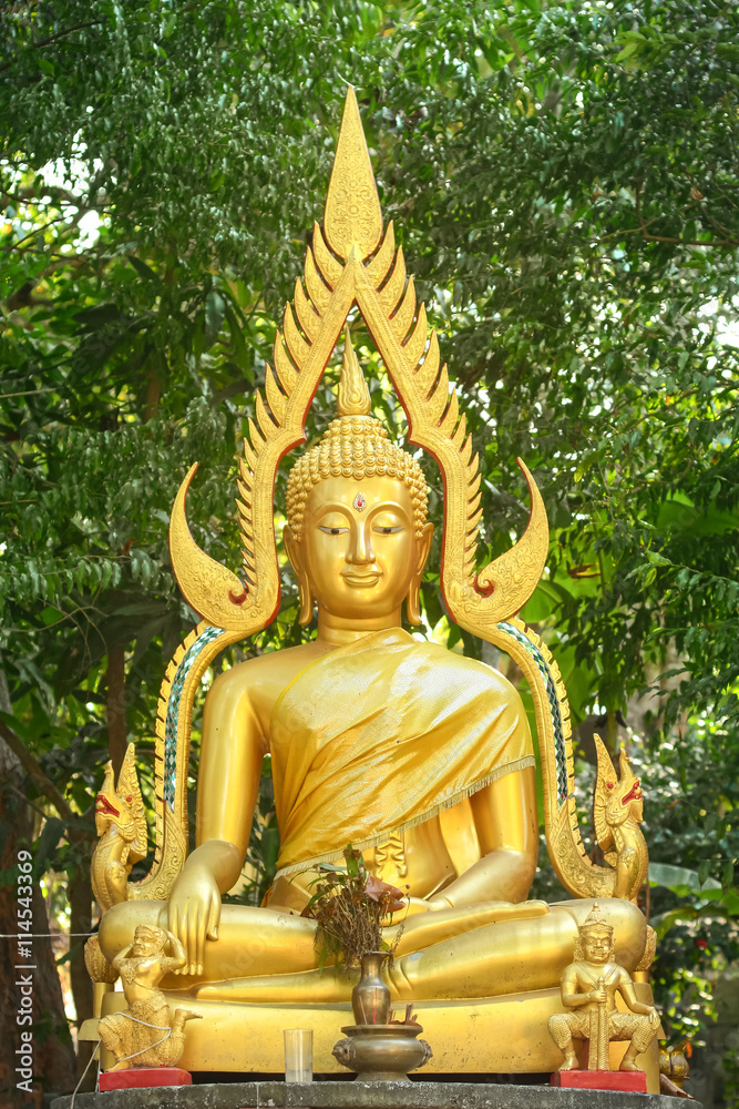 buddha statue buddha statue