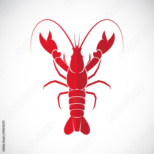 Vector of an lobster design on white background., Lobster.