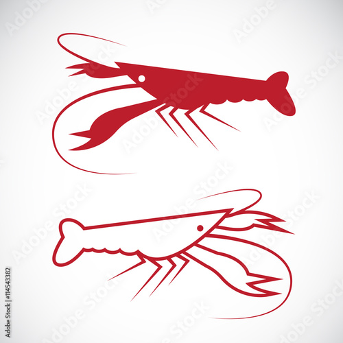 Vector image of an lobster design on white background., Lobster