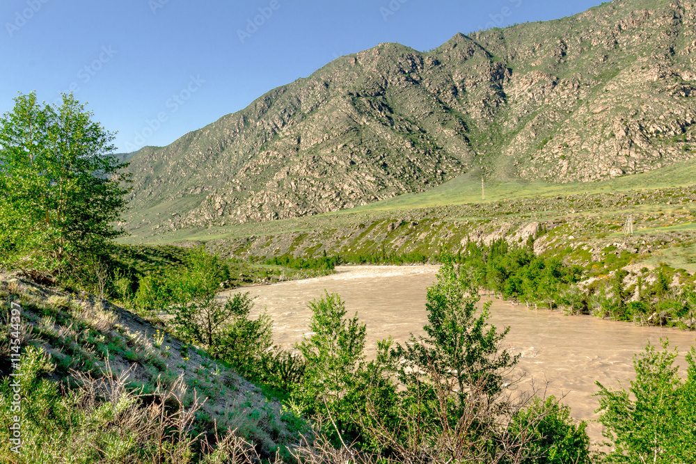Altai Mountain River