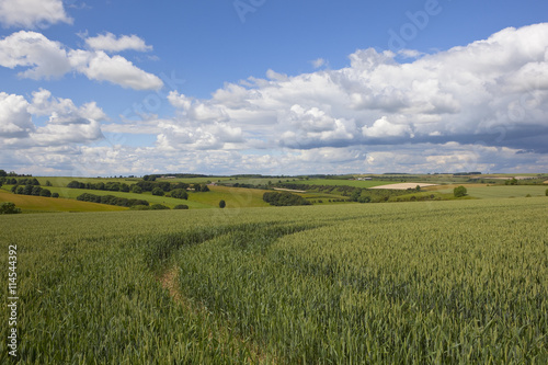 yorkshire wolds scenery