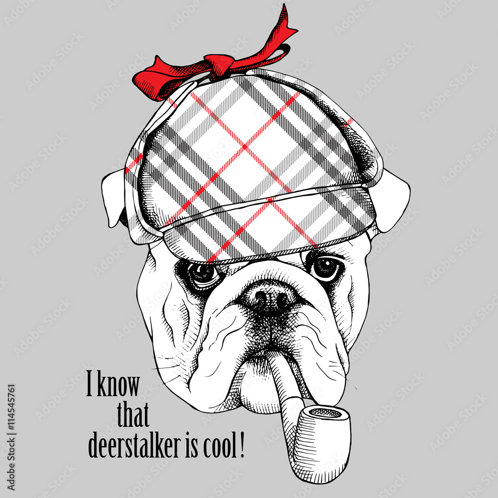 dog Bulldog in the deerstalker 