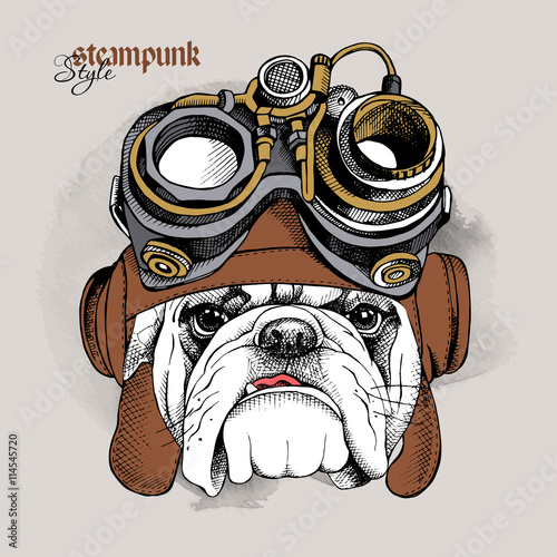 The image of the bulldog portrait in the Steampunk helmet. Vector illustration.