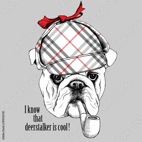 The poster with the image of the dog Bulldog  in the deerstalker and with tobacco pipe. Vector illustration.