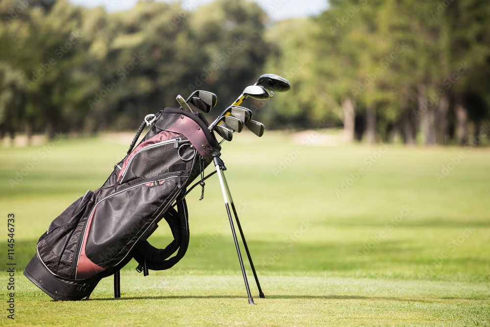 Naklejka premium Filled golf bag with golf club