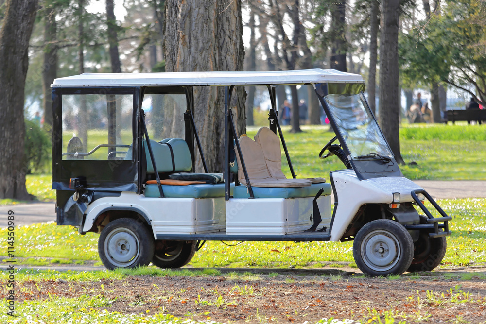 Golf Cart