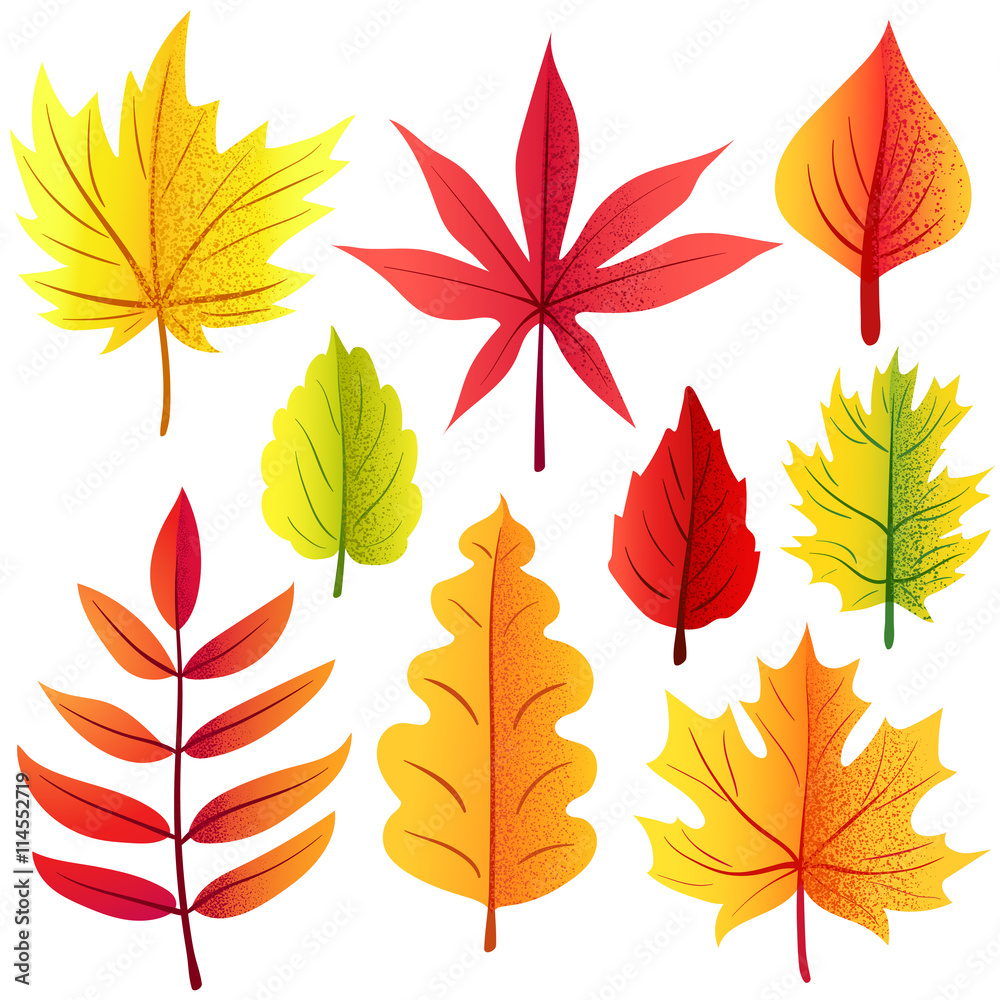 Autumn retro leaves set Autumn retro leaves set