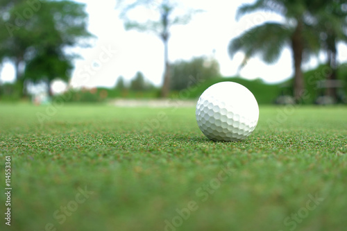 Golfball on green