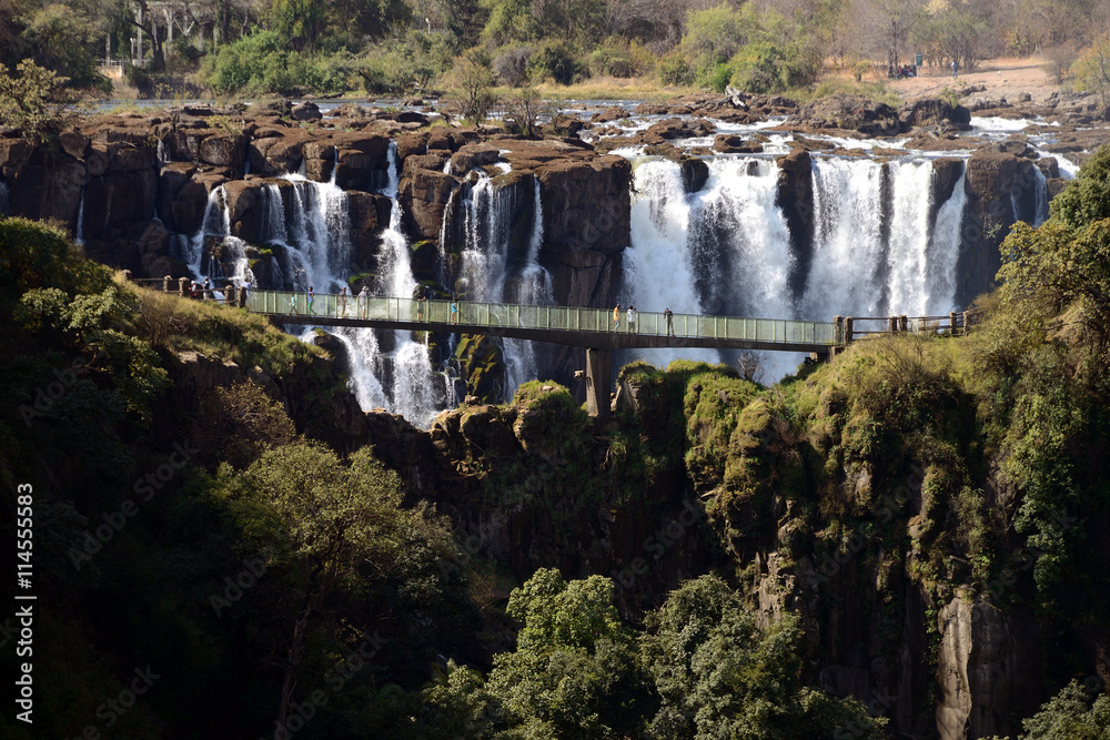 Fototapeta premium Victoria Falls, Zambia
