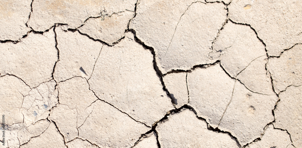cracked earth as a background. texture cracked earth as a background. texture
