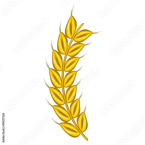 Stalk of ripe barley icon, cartoon style