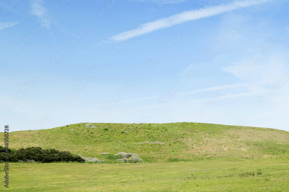 View of green grassland and blue sky with copy space.