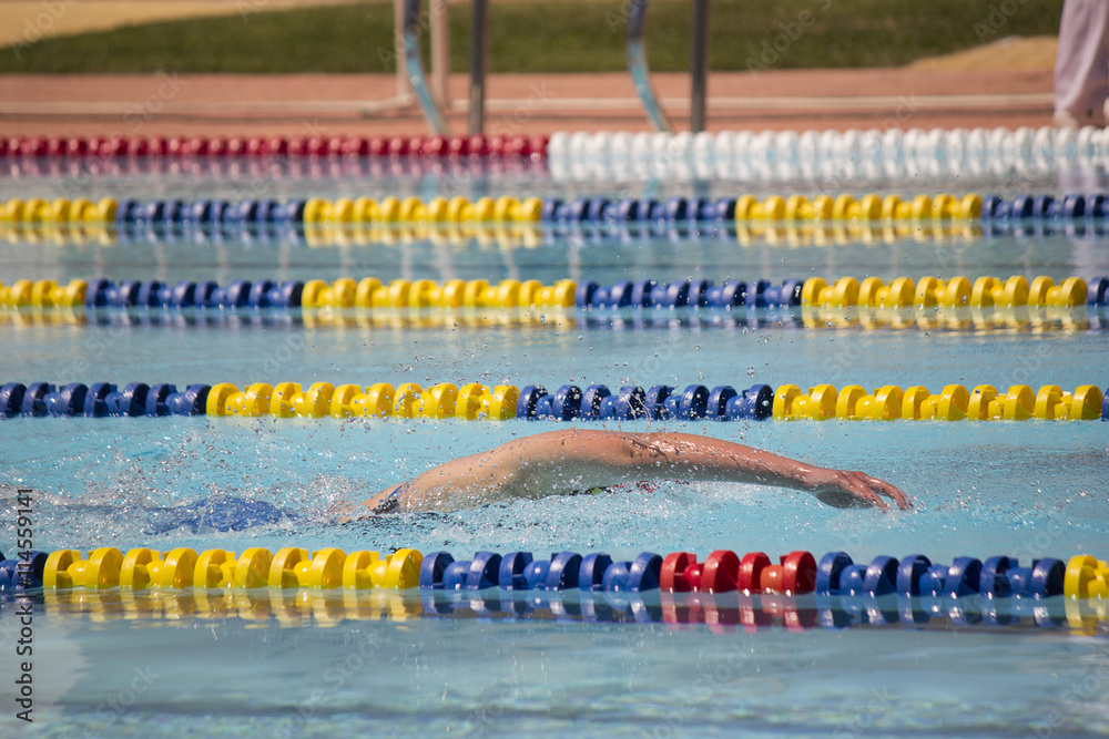Nadador nadando crol en piscina de verano. Competición de natación. Estilo olímpico. Nadadora compitiendo a estilo libre.