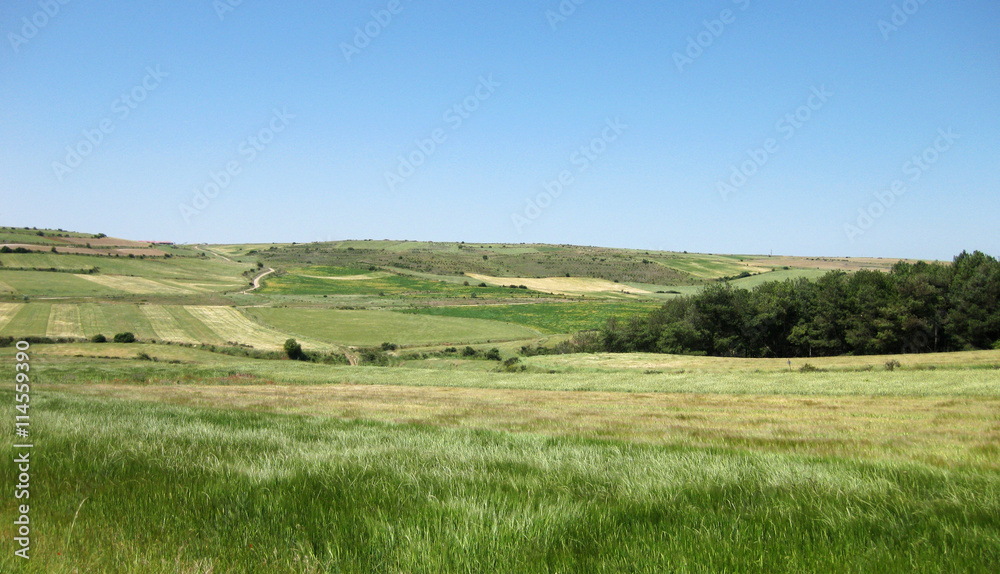 Fototapeta premium Landscapes and farmland. 