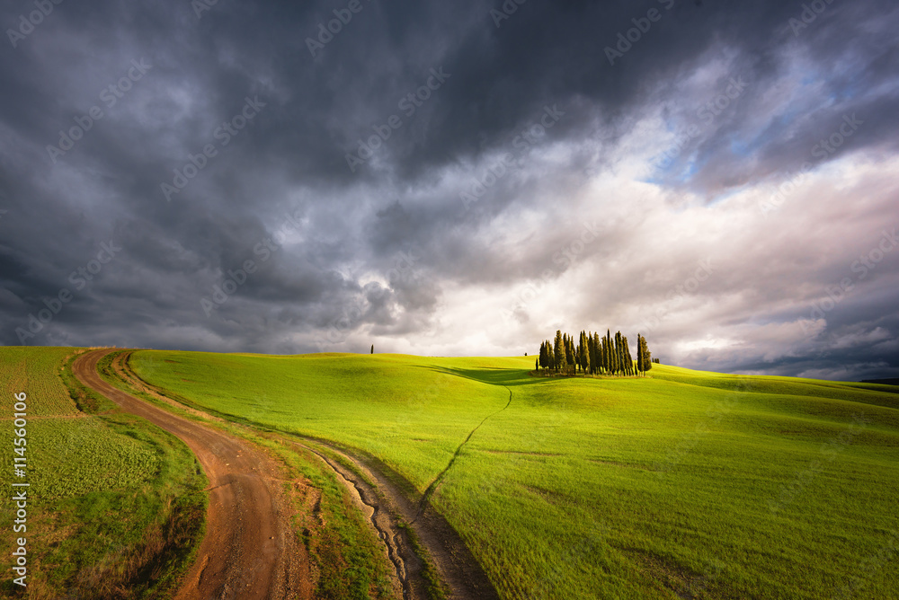 Trees on a green spring field with a dangerous blue clouds in th